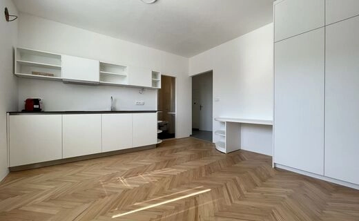 Pron&aacute;jem kr&aacute;sn&eacute;ho bytu na ul. Tr&aacute;vn&iacute;ky v Brně