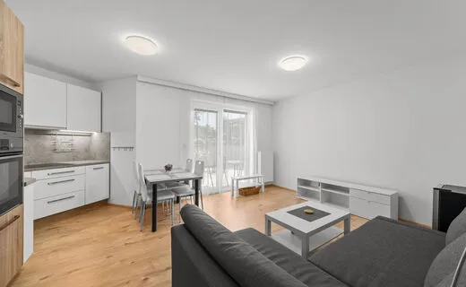 Pron&aacute;jem bytu 2+kk s vlastn&iacute; terasou na ul. Sokolnick&aacute;