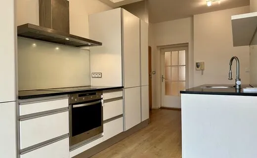 Pron&aacute;jem modern&iacute;ho bytu 3+kk se společnou zahradou