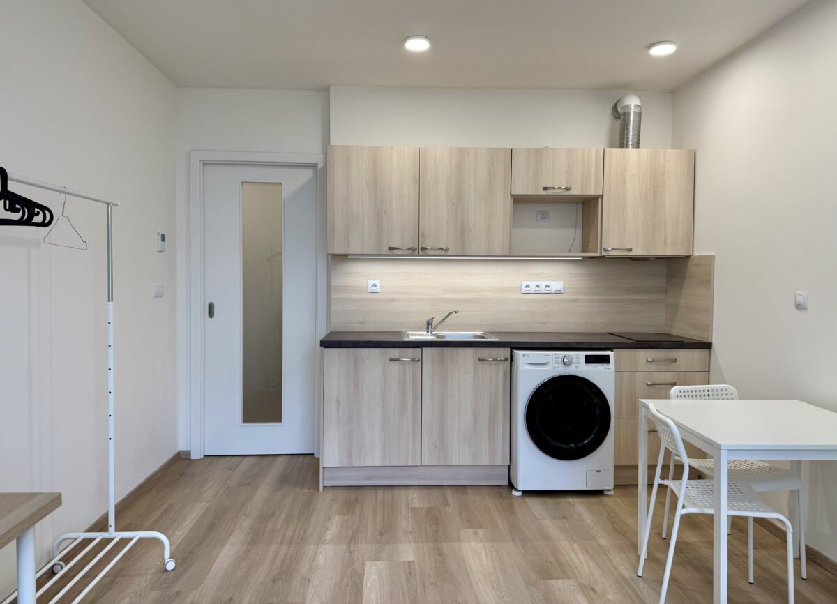 Pron&aacute;jem modern&iacute;ho bytu 1+kk u Galerie Vaňkovka, Placzkova Brno