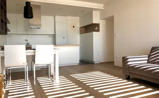 Pron&aacute;jem kr&aacute;sn&eacute;ho bytu 3+kk na ul. Francouzsk&aacute;