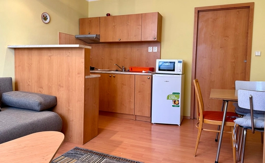 Pron&aacute;jem bytu 1+kk na ul. Rolnick&aacute;