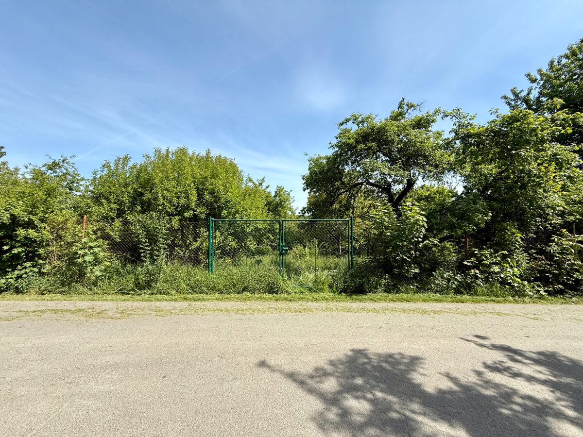 Pron&aacute;jem zahrady na ulici Terezy Nov&aacute;kov&eacute; u Kř&iacute;že Za kas&aacute;rnami